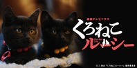 くろねこルーシー