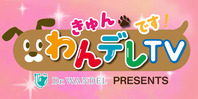 Dr.WANDEL PRESENTS きゅんです！わんデレTV（終了）