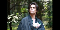 猫侍