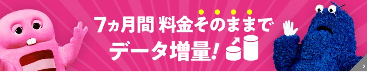 増量オプションⅡ