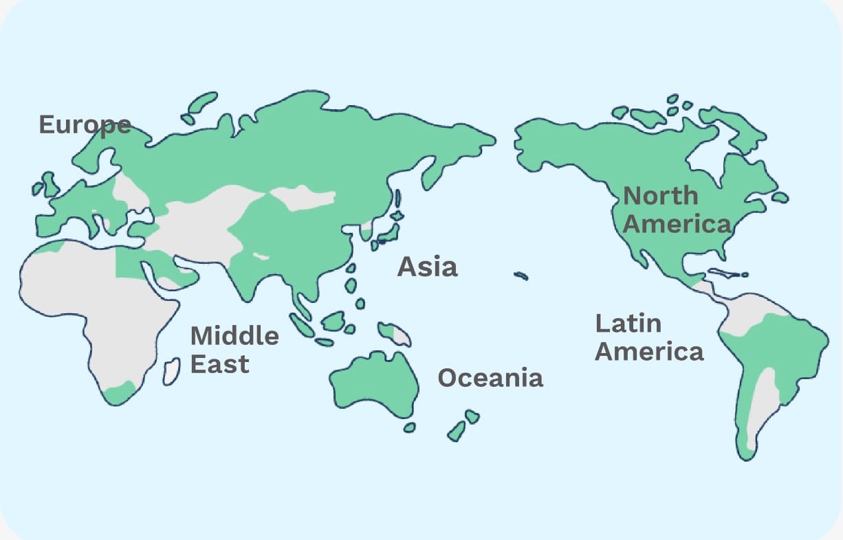 ahamo公式サイト