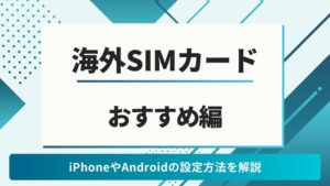 海外SIMカード 入れ替え