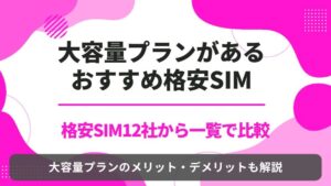 格安SIM 大容量