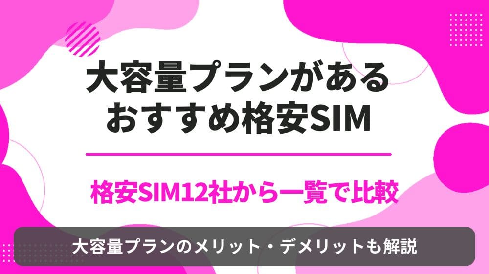 格安SIM 大容量