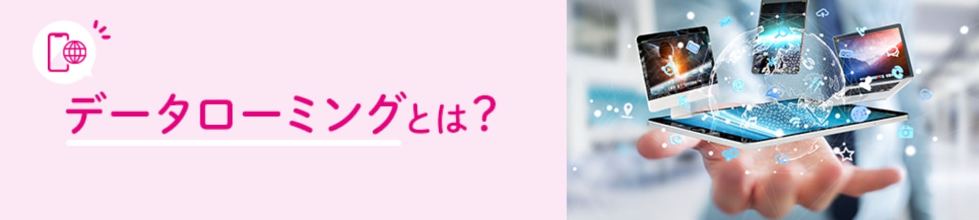 “““データローミングとは””