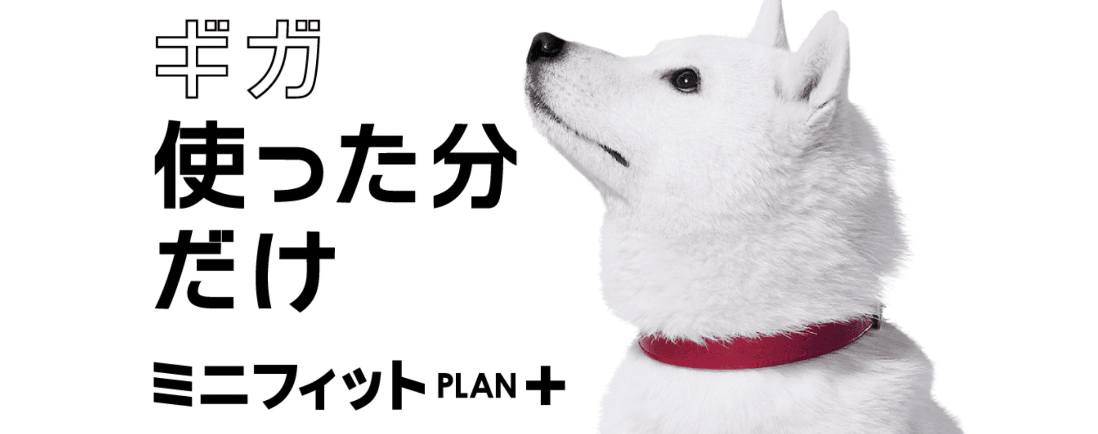 ソフトバンク ミニフィットプラン+