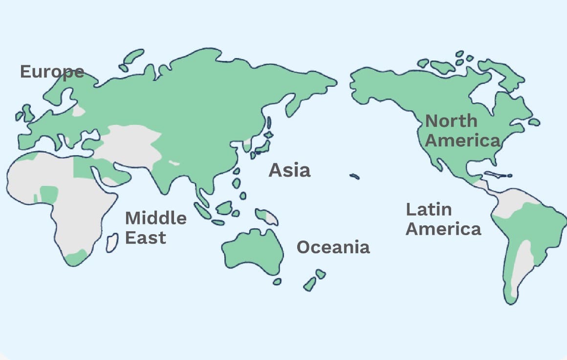 ahamo海外ローミング