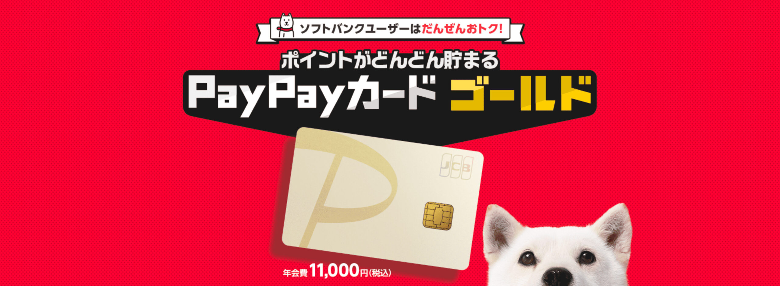 ソフトバンク　PayPayカード