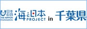 海,千葉,日本財団,海岸,東京湾,外房,内房,太平洋