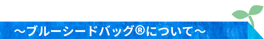 ブルーシードバッグについてブリッジ千葉