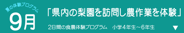 夏の食農体験プログラム