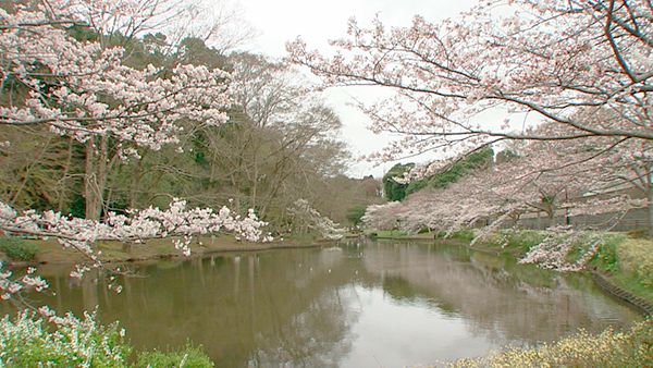 花島公園