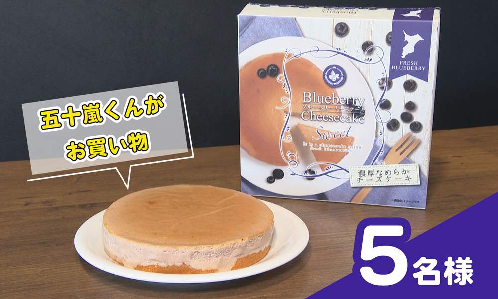 ブルーベリーチーズケーキ