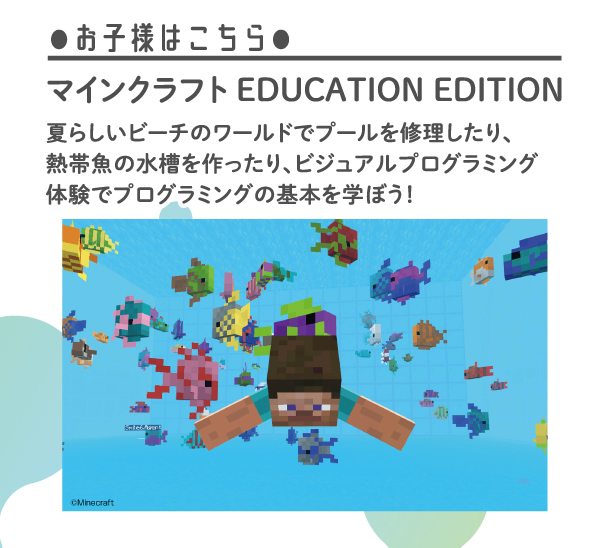 マイクラでビーチのワールドを冒険しよう！