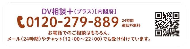 内閣府　DV相談プラス