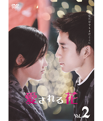 DVD BOX1