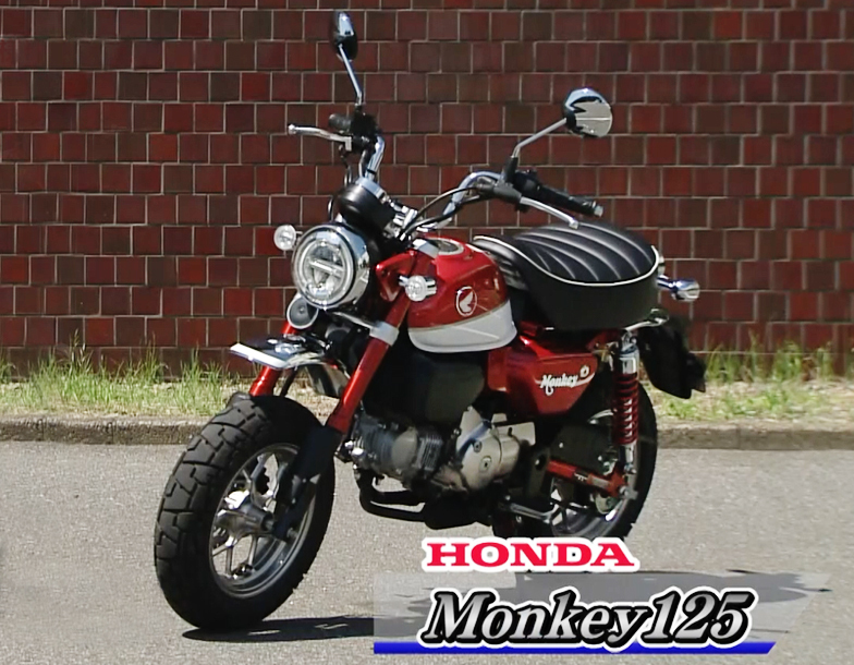 Monkey125