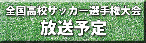 放送予定