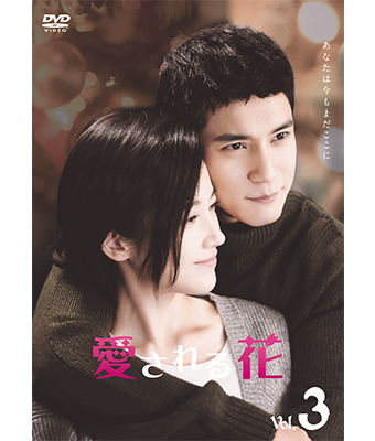 DVD BOX1