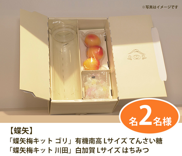 視聴者プレゼント 蝶矢