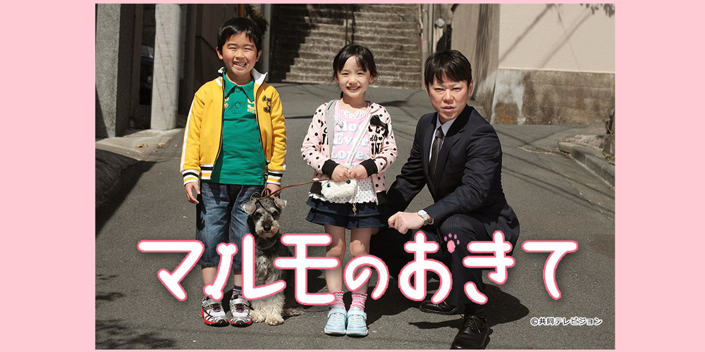 ドラマ　マルモのおきて