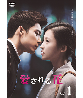 DVD BOX1