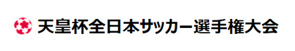 天皇杯全日本サッカー選手権大会
