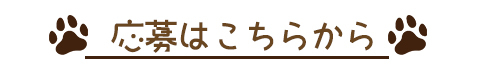 応募フォームはこちら