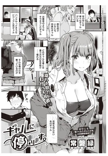 ギャルに停まります FANZA